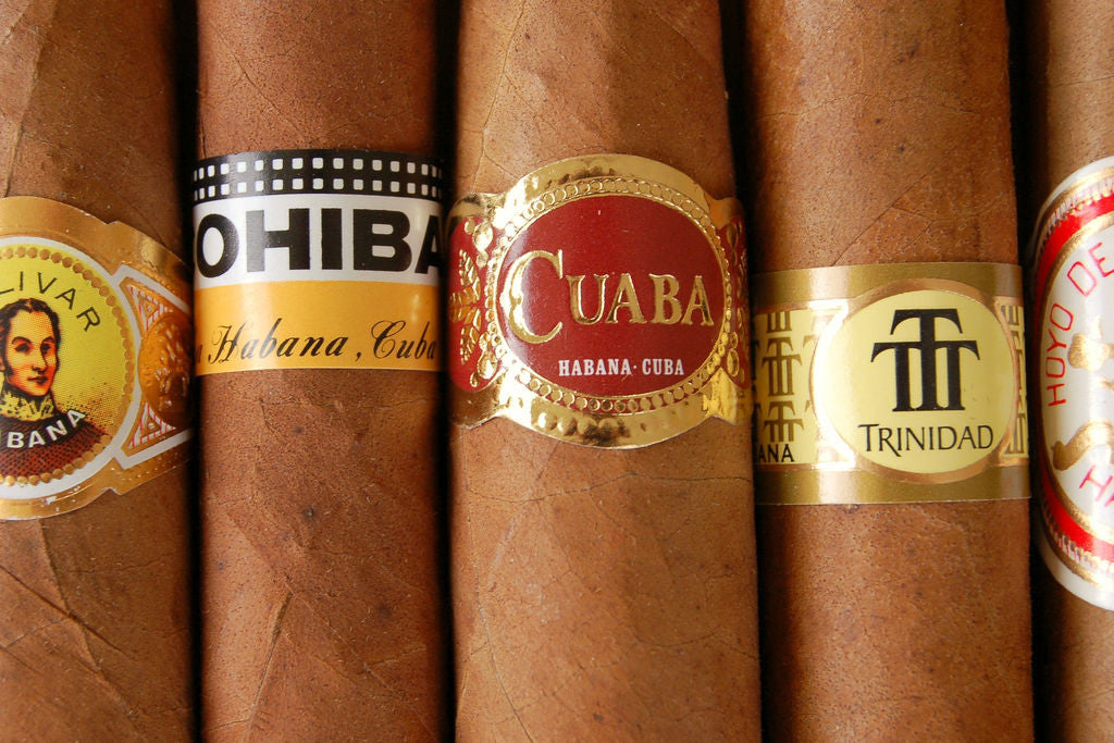 Best Cigars In The World: Cigars 101